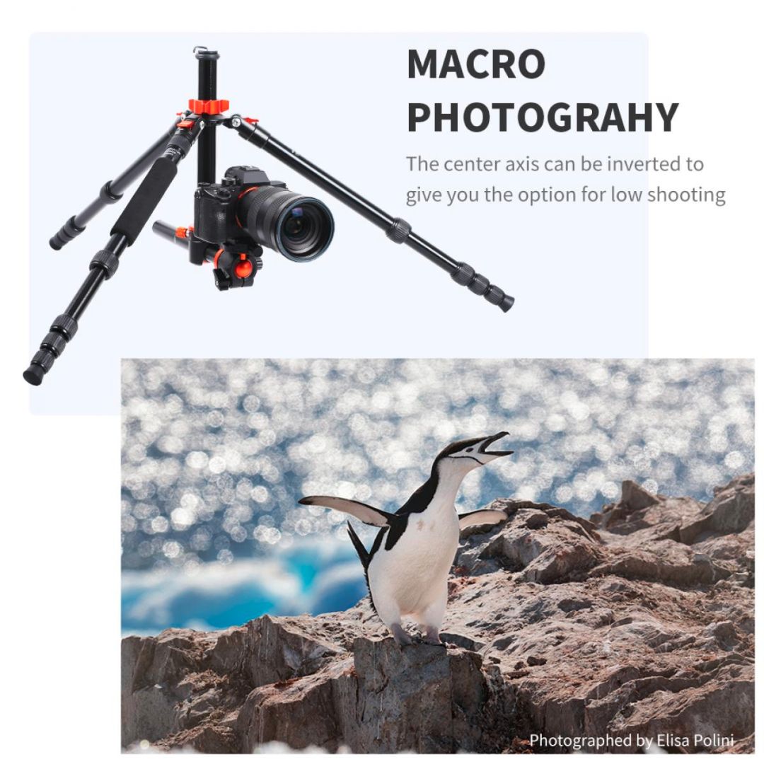 K&F Concept 1.7m 10kg Aluminijum Tripod Transverse Center Column KF09.085V7 - 8